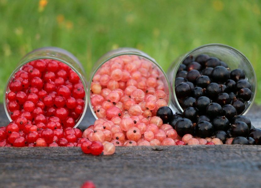 currant 1560383 1280 - Three Things To Say